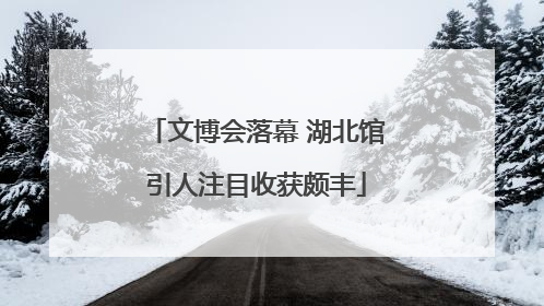 文博会落幕 湖北馆引人注目收获颇丰